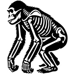 Gorilla skeleton silhouette