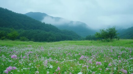 Misty Mountain Meadow: A Serene Landscape of Blossoms