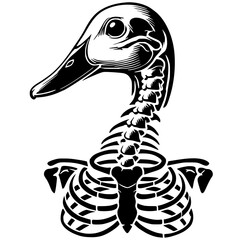 Silhouette portrait of duck skeleton