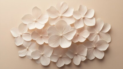 Delicate Pale Flowers Arranged On Beige Background