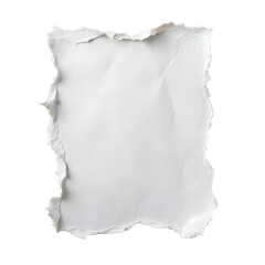 white ripped paper, torn edges strips cut out