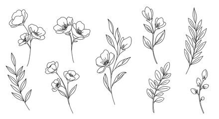 Minimalist line art of flowers and leaves in black and white, perfect for modern designs