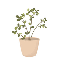 Fototapeta premium Home Plants for Decoration. House Plants Illustration