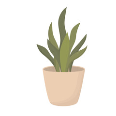 Home Plants for Decoration. House Plants Illustration