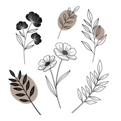 Minimalist line art of flowers and leaves in black and white, perfect for modern designs