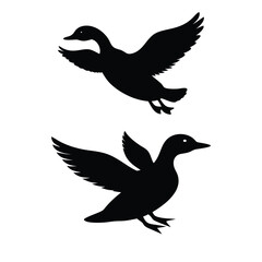 Obraz premium Silhouette of Mandarin Duck - Black Bird with Outstretched Wings