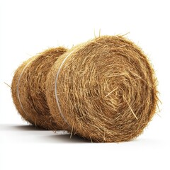 Two Round Hay Bales Isolated on White Background.