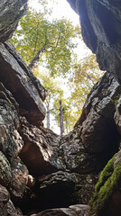 Obraz premium Dramatic view below rocky cliffs moss growth,towering stone walls,lush greenery,sunlight filtering crevices,connection nature rugged beauty,raw,earth,ground,huge,travel,wallpaper,photography,explore