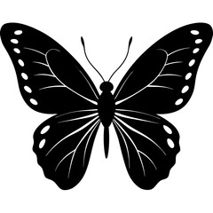 Silhouette of a  butterfly with delicate wings spread wide