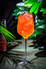 Sauvignon blanc punch, alcoholic cocktail drink with white wine, orange bitters, grapefruit and lemon juice, syrup and soda. Dark green background with tropical leaves