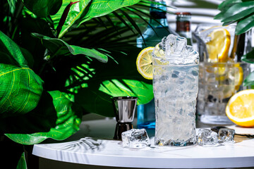 Gin tonic cocktail drink with dry gin, bitter tonic, lemon and ice. White marble table with tropical leaves