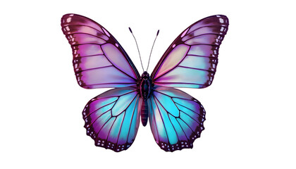 Stunning Purple Blue Butterfly Wings Isolated on Transparent Background