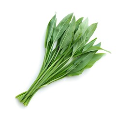 Fototapeta premium Chinese chive leaves on white background