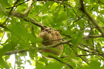 Pictures taken while in Costa RIca