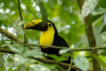 Pictures taken while in Costa RIca