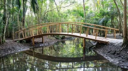 Serene Bamboo Bridge Over Tranquil Waters in Lush Tropical Forest