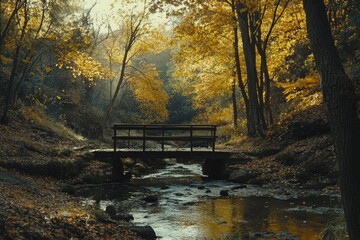 Obraz premium Tranquil autumn scene with a wooden bridge over a serene stream surrounded by golden foliage