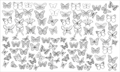 Different butterflies set. Vector illustration