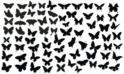 Set of silhouettes of butterflies, night moths. Vector graphics.  