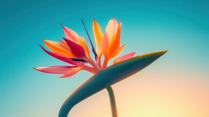 Vibrant bird of paradise flower against a serene sunset sky, symbolizing beauty and tranquility
