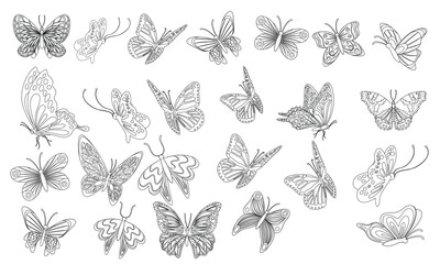 Butterfly collection. Beautiful nature flying insect drawing, exotic black butterflies with funny wings pictures