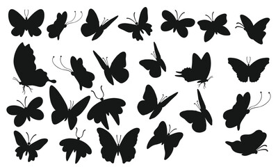 Set butterflies silhouettes vector illustration	