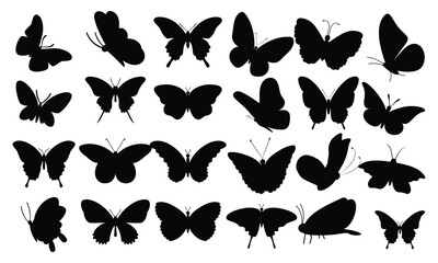 Set of various forms of butterflies silhouettes