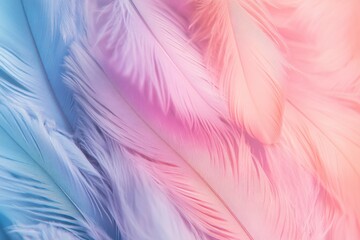 Obraz premium dreamy pastel feather background . A close-up view of a vibrant background featuring blue and pink feathers, showcasing intricate textures and colors.