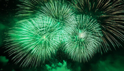Fototapeta premium green fireworks in the night sky