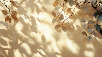Beige Wall Decorated With Branch Shadows And Leaves