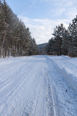 The beauty of the winter frosty snow-covered forest