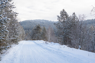 Obraz premium The beauty of the winter frosty snow-covered forest
