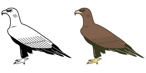 Golden Eagle in colors and line art SVG Icons 