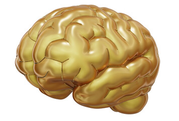 Golden Brain Model: 3D Render - A 3D render of a golden brain model, symbolizing intelligence, creativity, and innovation. Ideal for use in science, technology, and mental health concepts.
