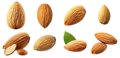 Collection of various almond isolated on white transparent background PNG set