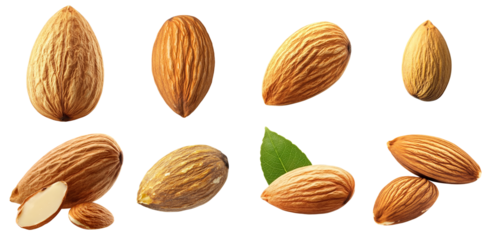 Collection of various almond isolated on white transparent background PNG set