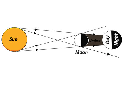 Science of hand drawn vector diagram of Occurrence of Lunar Solar Eclipse clipart.
