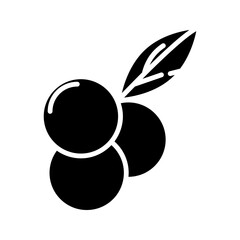 acai berry icon symbol template for graphic and web design collection logo vector illustration  © Muhammad