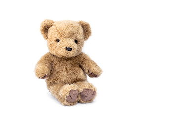 Stuffed animals. Old cute sitting brown teddy bear isolated on white background and copy space.