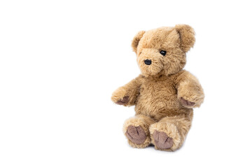 Stuffed animals. Old cute sitting brown teddy bear isolated on white background and copy space.