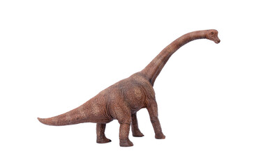 Prehistoric Animal Educational Toys model. Brown Dinosaur long necked Brachiosaurus name is sauropod herbivore  in the Jurassic era. isolated on white background. © Panupong