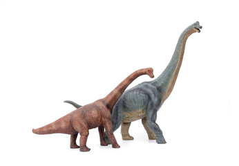 Prehistoric Animal Educational Toys model. A family of two Dinosaurs long neck Brachiosaurus name is sauropod herbivore in the Jurassic era. isolated on white background.