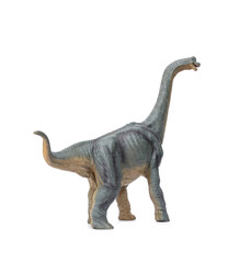 Dinosaur long necked Brachiosaurus name is sauropod herbivore in the Jurassic era. isolated on white background.
