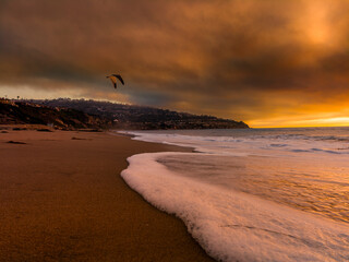 Sunset and close up of shoreline sea bubbles 
