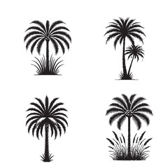 4 set of black Vector Silhouette of the  Foxtail Palm Tree Isolated on White Background
