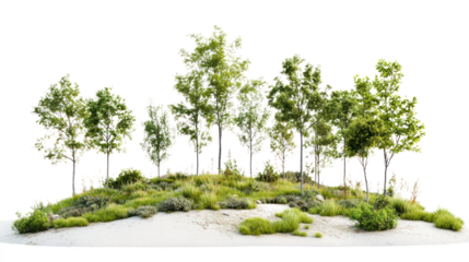 A collection of trees and shrubs on a small mound, featuring lush greenery and vibrant foliage, isolated on a clean white background.