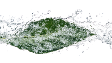 A dynamic splash of water surrounding a green leaf, emphasizing the beauty of nature and the interaction between water and plant life.