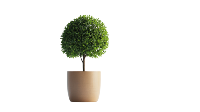 A lush green topiary tree in a simple beige pot, showcasing vibrant foliage against a white isolated background, ideal for home decor.