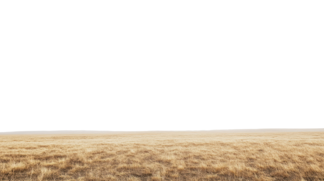 A serene landscape featuring a vast field of golden grass against a clear sky, exemplifying the beauty of nature in a tranquil setting.