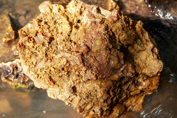 Siliceous rock with a crust of chalcedony lying in a stream